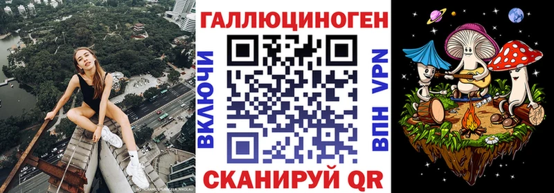 Галлюциногенные грибы Psilocybe  Новотроицк 